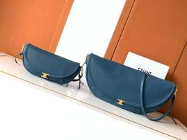 Picture of Celine Handbags _SKUfw240689568fw